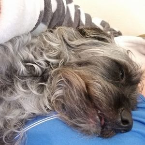 Meet your Posher, Christy